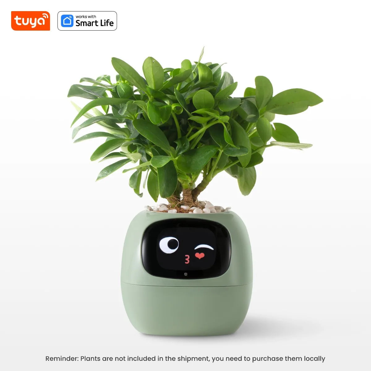 Tuya Smart Life Planter,Endless Fun over 49 Rich Expressions,7 Smart Sensors,Ai Chips Make Raising Plants Easy and Fun