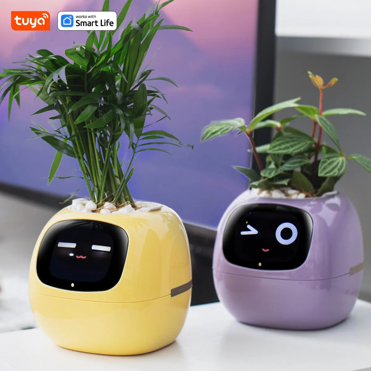 Tuya Smart Life Planter,Endless Fun over 49 Rich Expressions,7 Smart Sensors,Ai Chips Make Raising Plants Easy and Fun